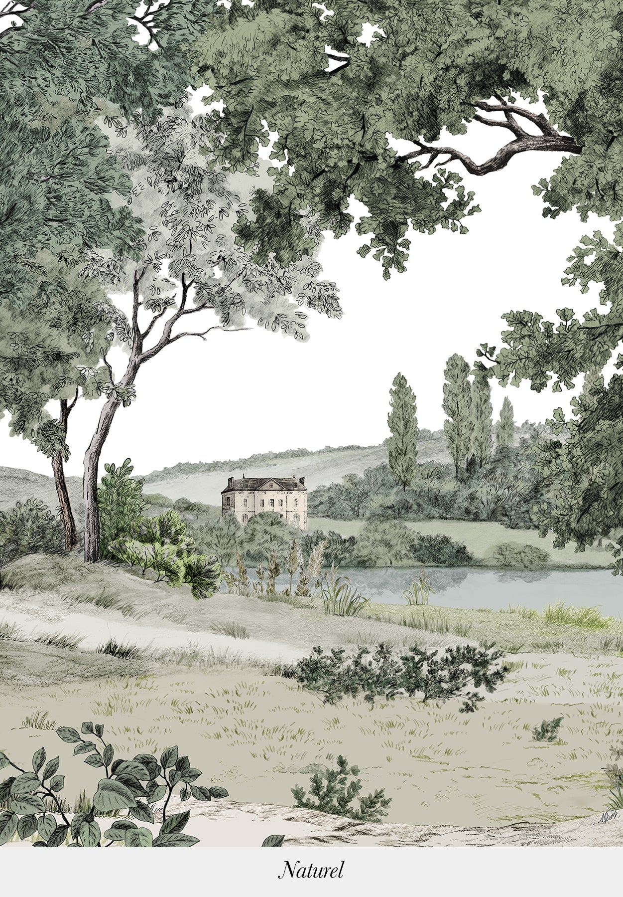 Miniature 4
