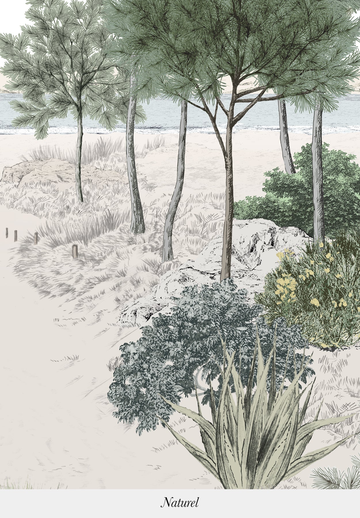 Miniature 11