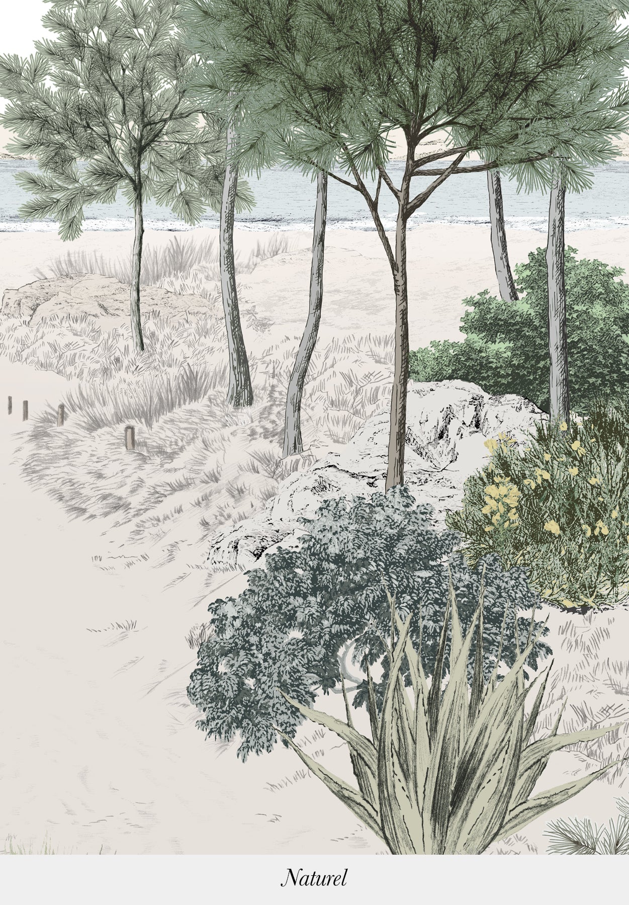Miniature 11
