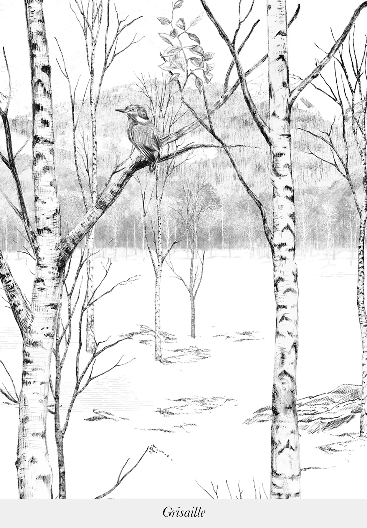 Miniature 8